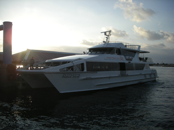 iriomote1.jpg