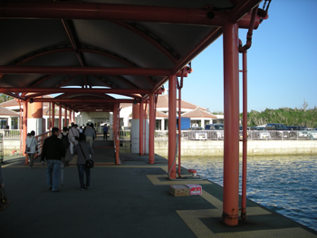 iriomote2.jpg