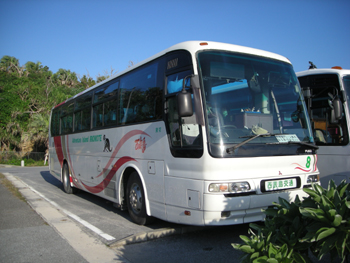 iriomote3.jpg