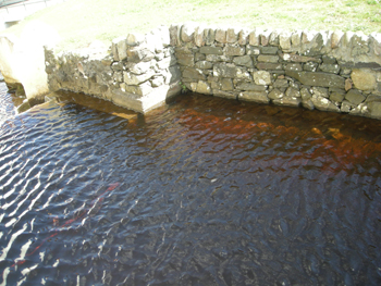 scotland3_13.jpg