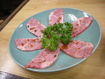 yamamoto7.jpg