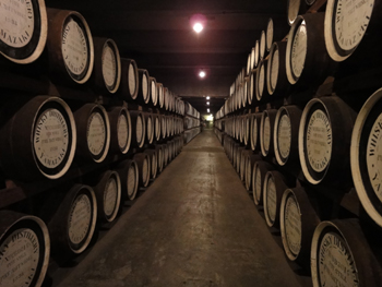 yamazaki6.jpg