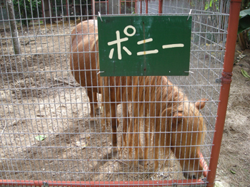 yubujima7.jpg
